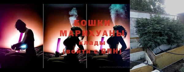 соль ск Тында
