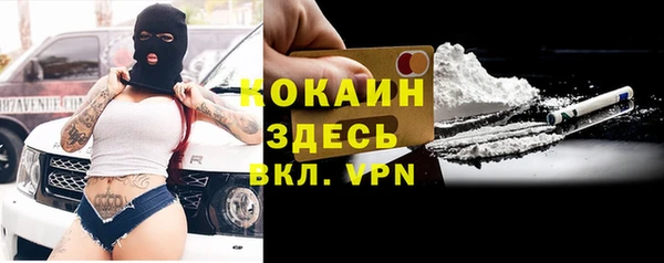 соль ск Тында
