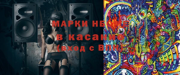 твердый Туринск