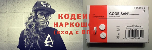 твердый Туринск