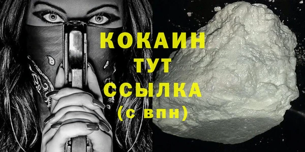 СК Новозыбков