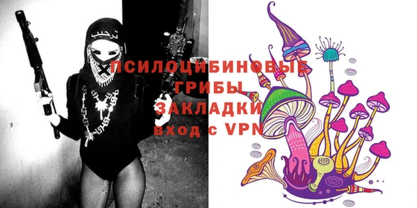 твердый Туринск