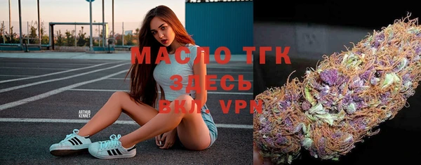 твердый Туринск