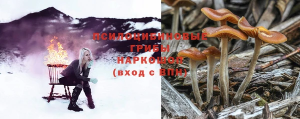 ешки Новокубанск