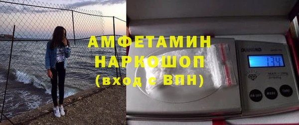 твердый Туринск